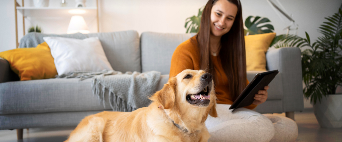 How to Prepare a Pet Sitter to Care for Your Senior Pet