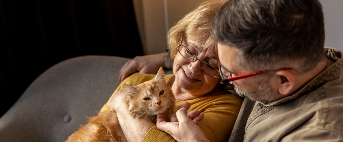 Strengthen your Bond with your Senior Pet