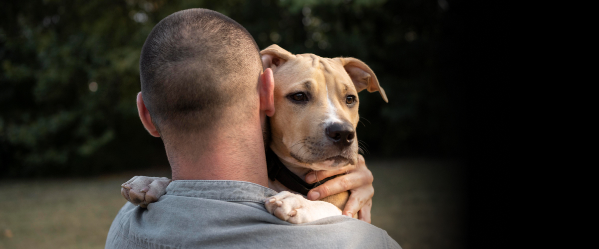 What to Expect When Your Pet Has Cancer