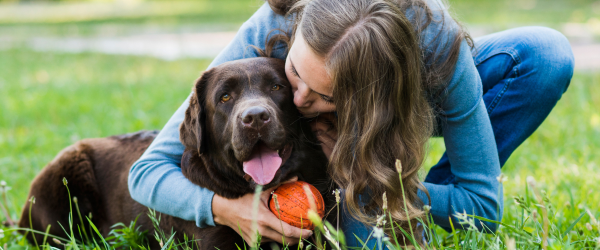 Ways To Keep Your Senior Pet Active