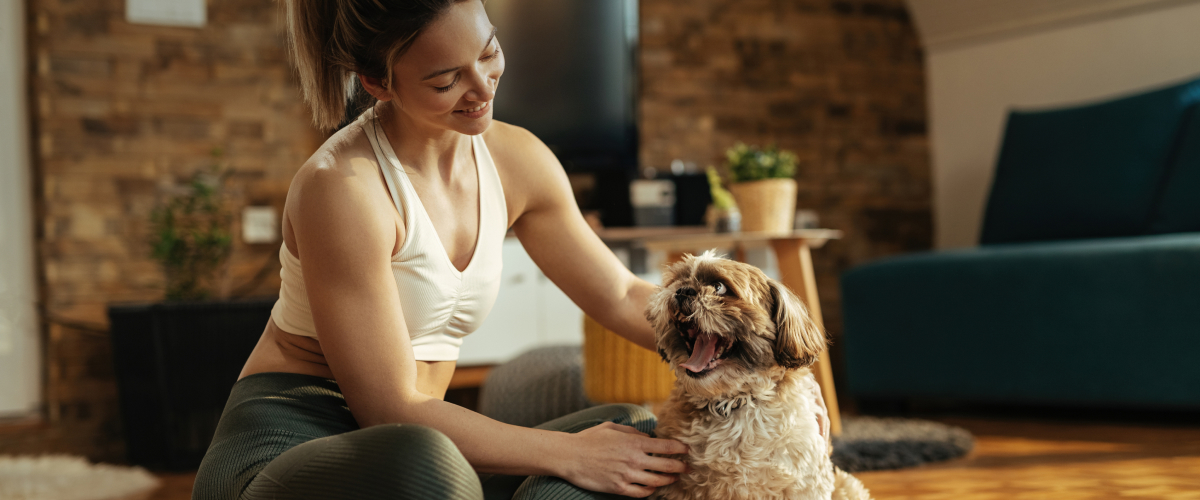 Learn About Pet Exercises